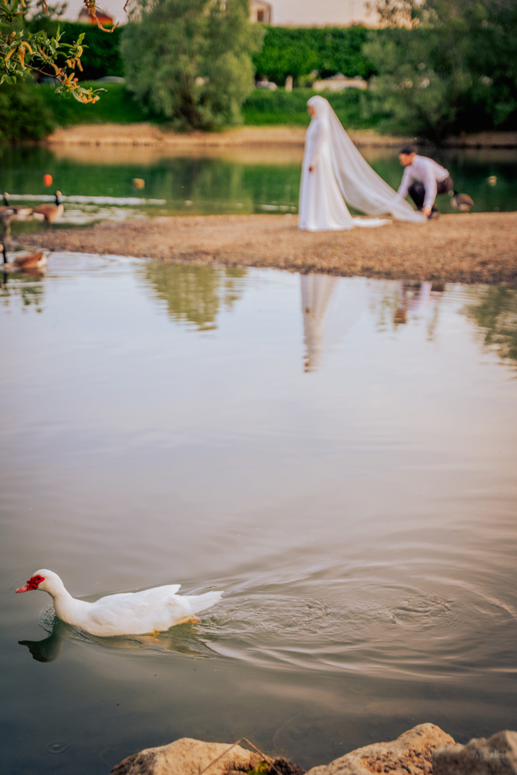 Mariage Nour & Yanis